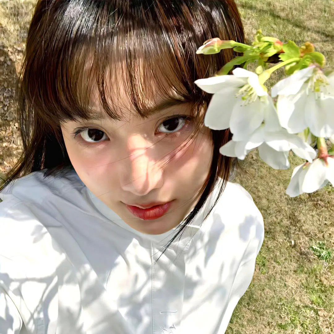 蒂莫西的奇异生活